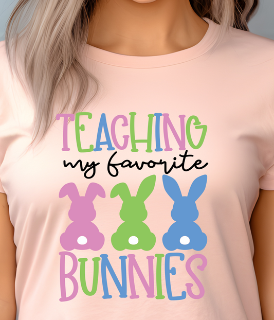 Teaching Favorite Bunnies Shirt E43 - Screenprinted